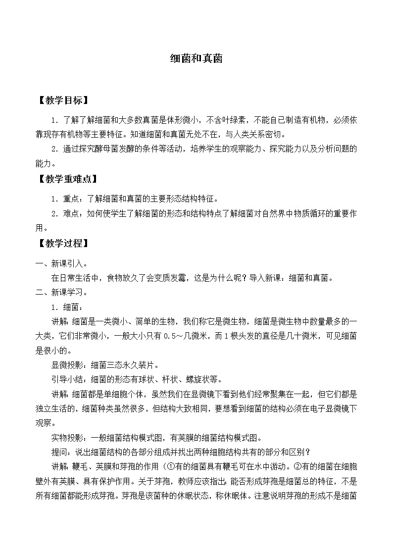 2.3 细菌和真菌 教案01