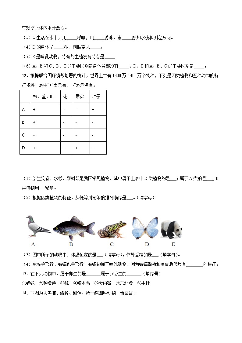 2.1动物的主要类群-华东师大版七年级科学上册同步检测03