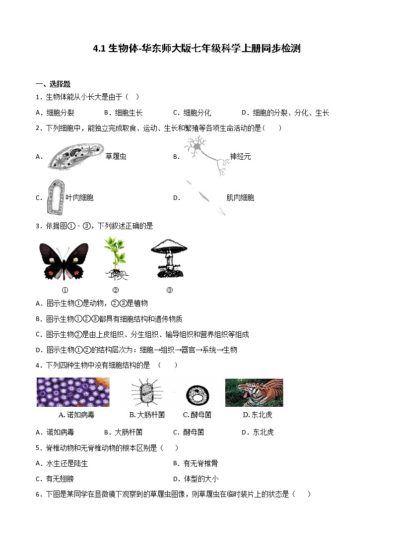 4.1生物体-华东师大版七年级科学上册同步检测01