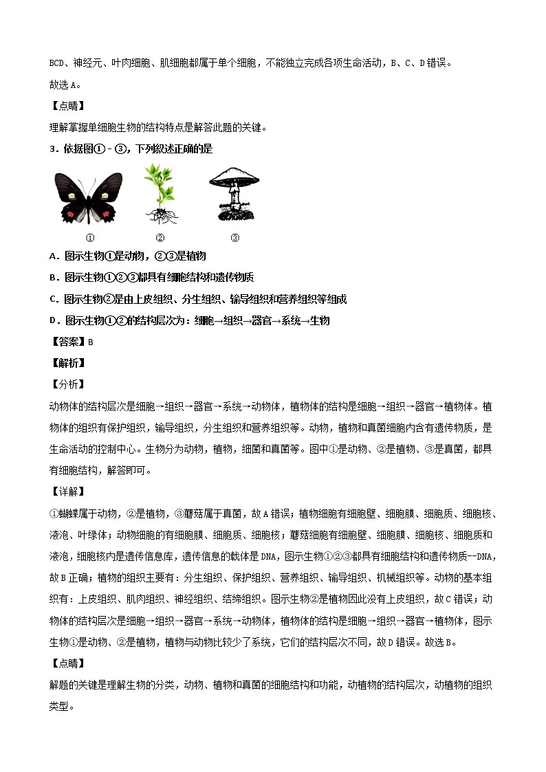 4.1生物体-华东师大版七年级科学上册同步检测02