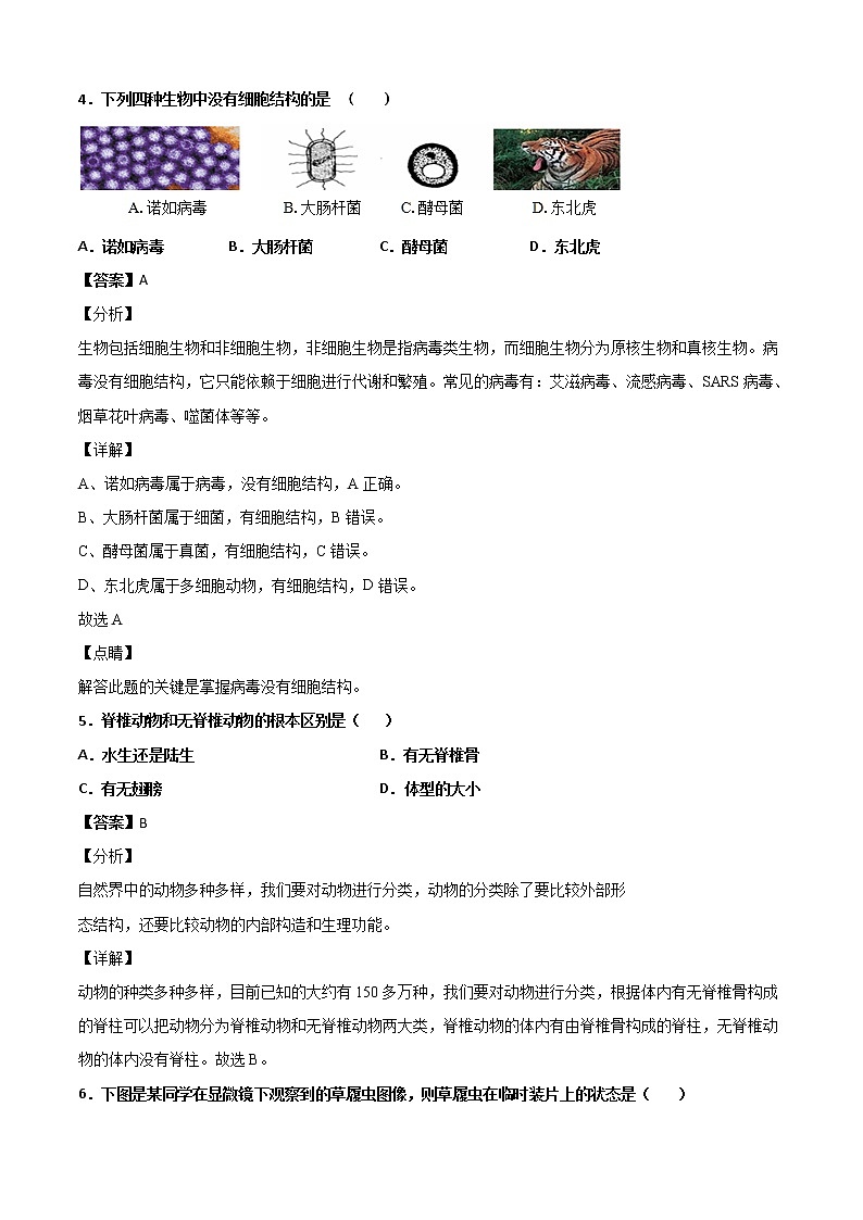 4.1生物体-华东师大版七年级科学上册同步检测03