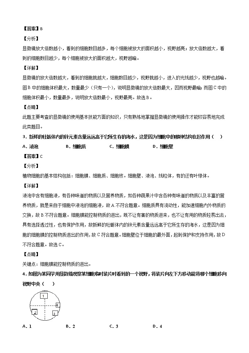 4.2细胞-华东师大版七年级科学上册同步检测02