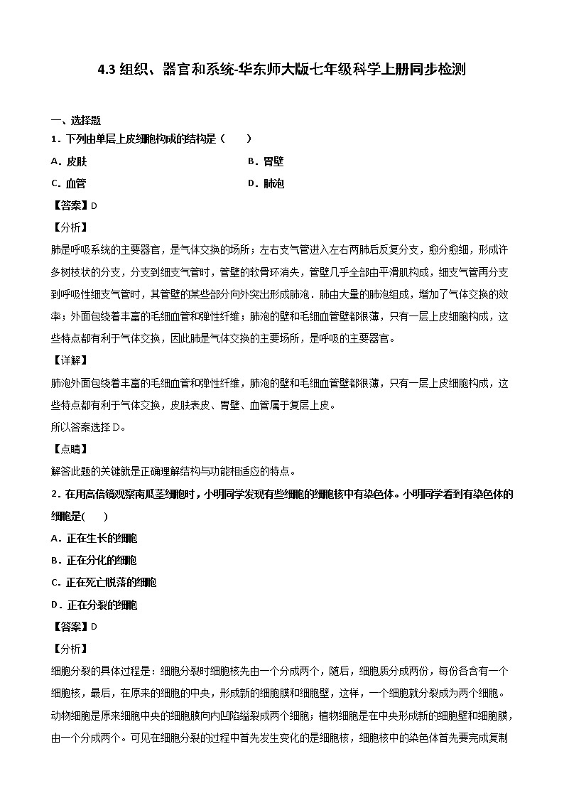 4.3组织、器官和系统-华东师大版七年级科学上册同步检测01