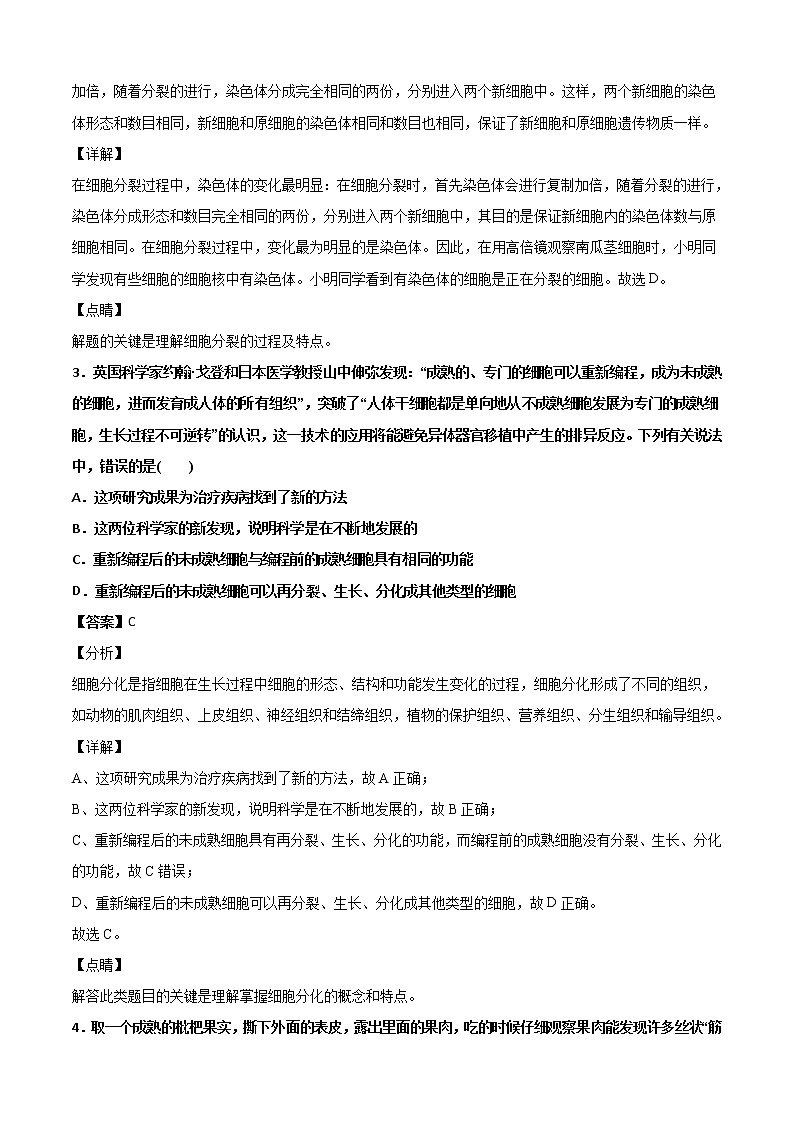 4.3组织、器官和系统-华东师大版七年级科学上册同步检测02