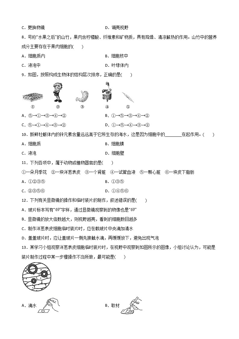 4生物体的结构层次-华东师大版七年级科学上册同步检测02