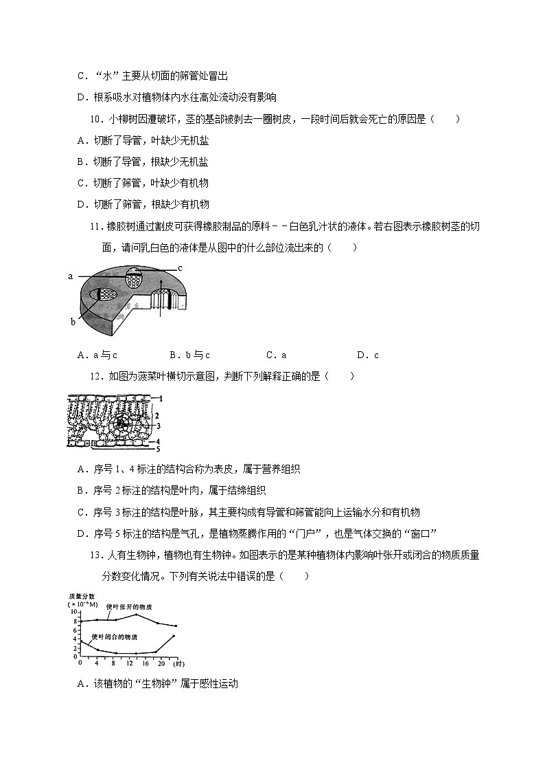 4.1绿色开花植物的营养器官—华师大版科学八年级上册同步检测（含答案）03