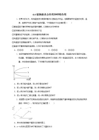 2021学年4 植物的光合作用和呼吸作用精品一课一练