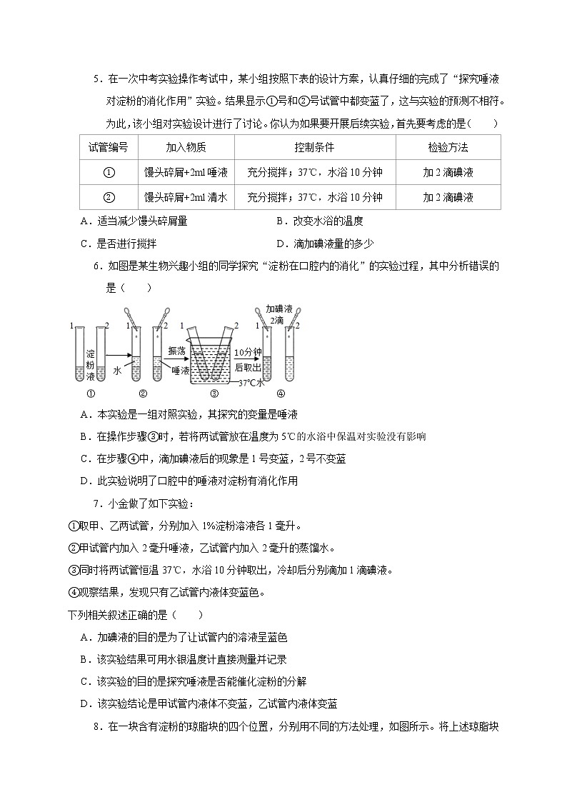 5.1食物的消化和吸收—华师大版科学八年级上册同步检测（含答案）第2页
