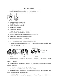 初中科学华师大版八年级上册2 人体的呼吸优秀练习