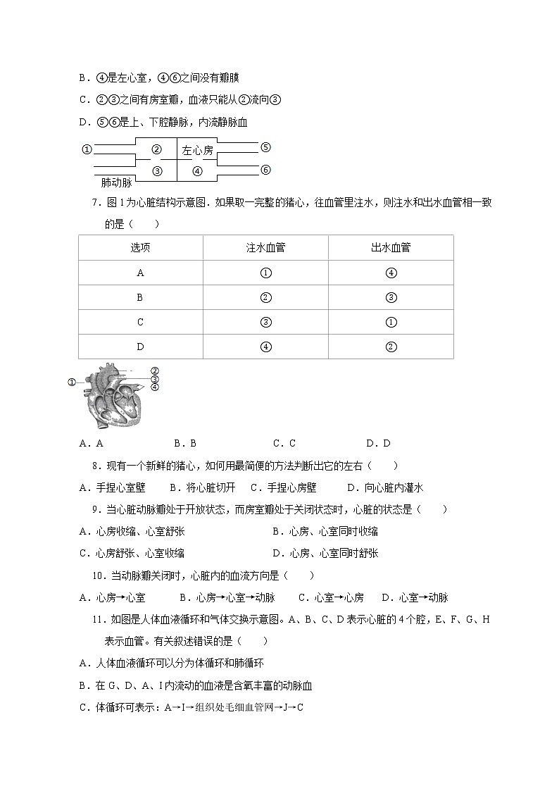 5.3人体的物质运输 基础演练—华师大版科学八年级上册同步检测（含答案）02