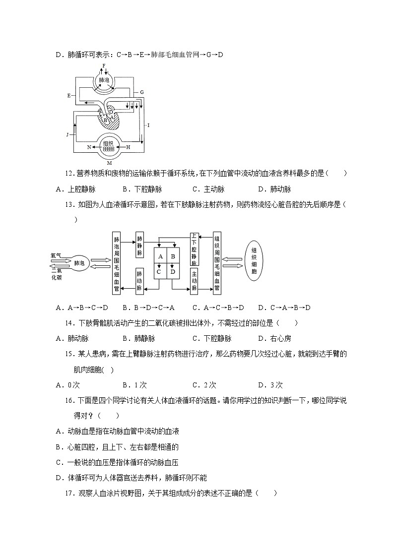 5.3人体的物质运输 基础演练—华师大版科学八年级上册同步检测（含答案）03