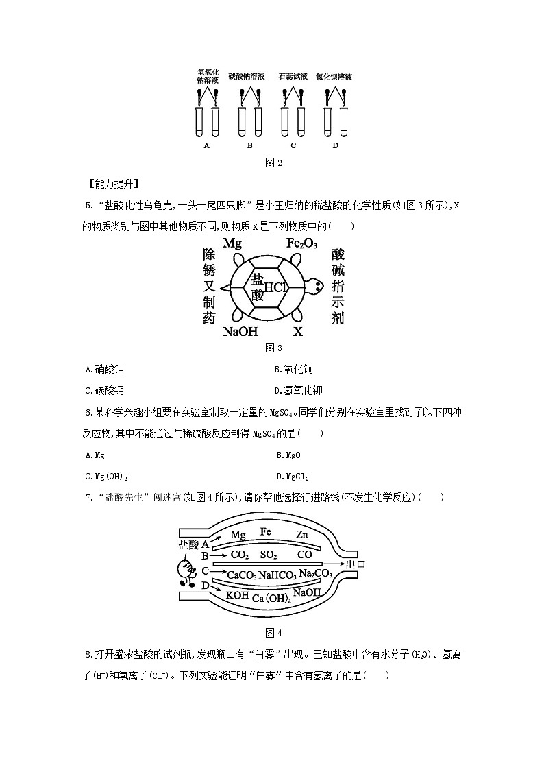 2.2 重要的酸 同步练习（2课时，含解析）02