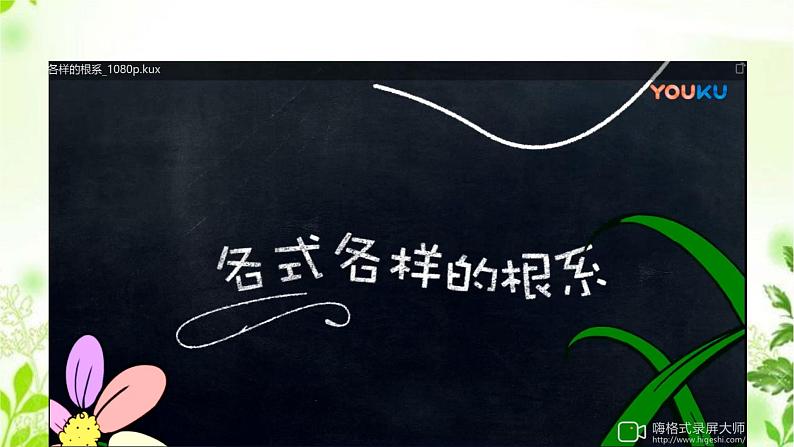 4.1.1  绿色开花植物的营养器官（一）课件PPT+视频08