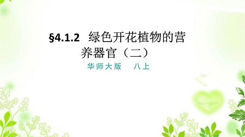 4.1.2  绿色开花植物的营养器官（二）课件PPT+视频01
