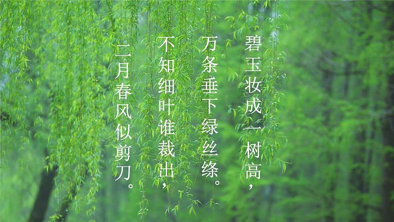 4.1.2  绿色开花植物的营养器官（二）课件PPT+视频02