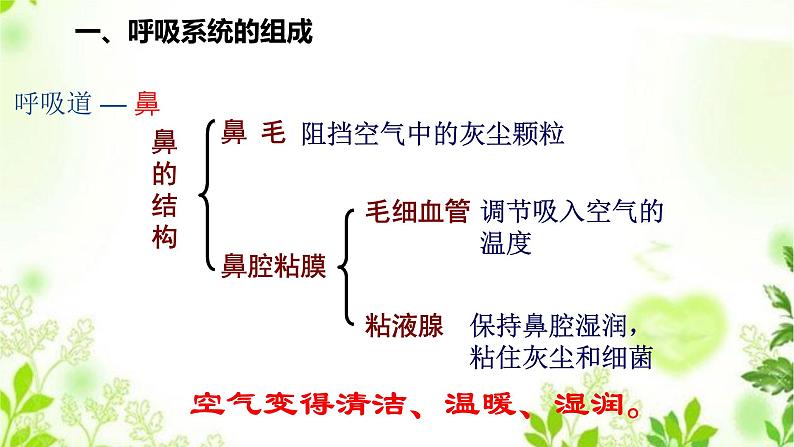 HS版科学八年级上册5.2人体的呼吸第4页