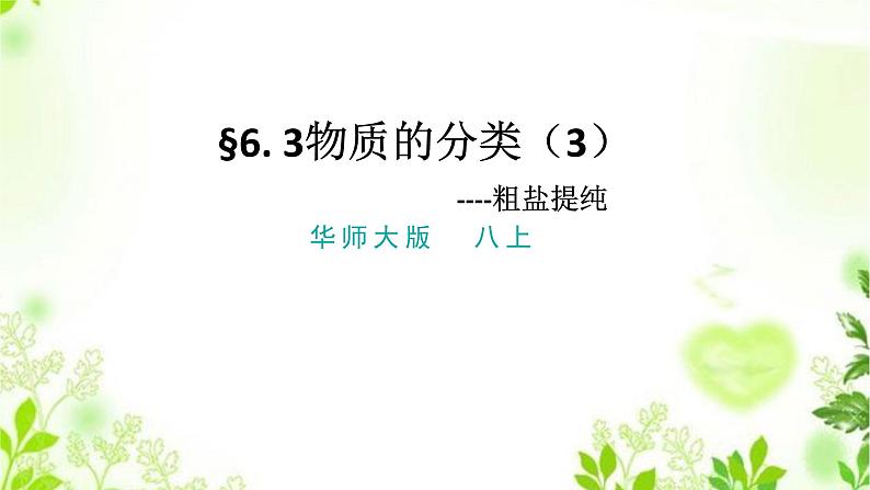 6.3物质的分类（3实验）课件PPT+练习+视频01