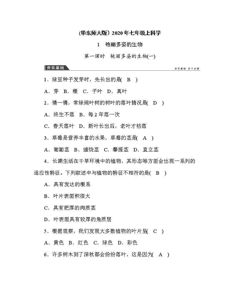 (华东师大版）2020年七年级上科学  艳丽多姿的生物 （含答案） 试卷01