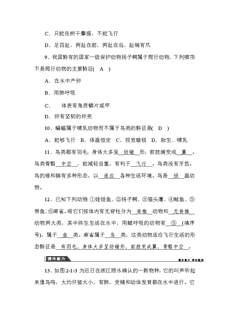 (华东师大版）2020年七年级上科学 1 动物的主要类群 第1课时 （含答案） 试卷03