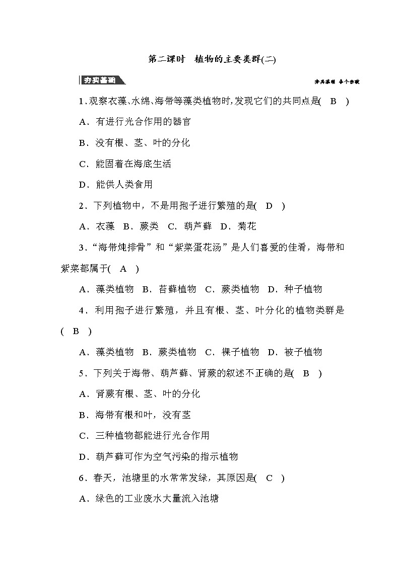 (华东师大版）2020年七年级上科学 2 植物的主要类群 第2课时 （含答案） 试卷01