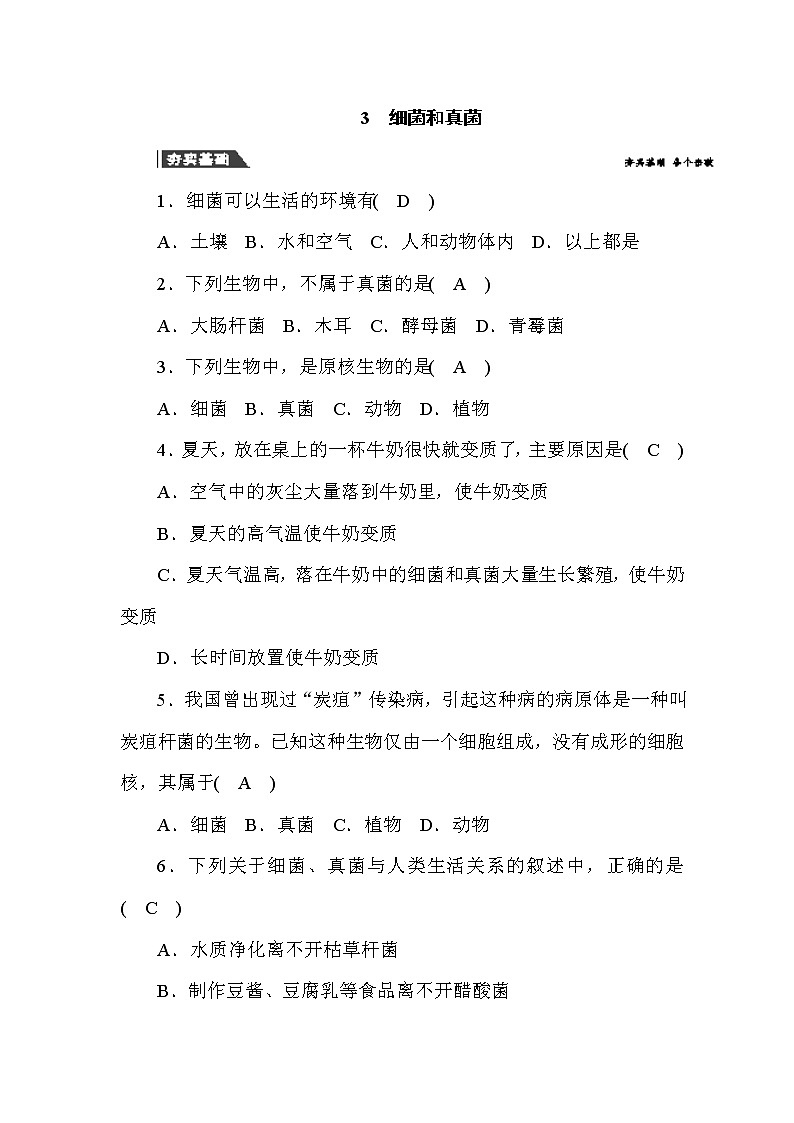 (华东师大版）2020年七年级上科学 3 细菌和真菌（含答案） 试卷01