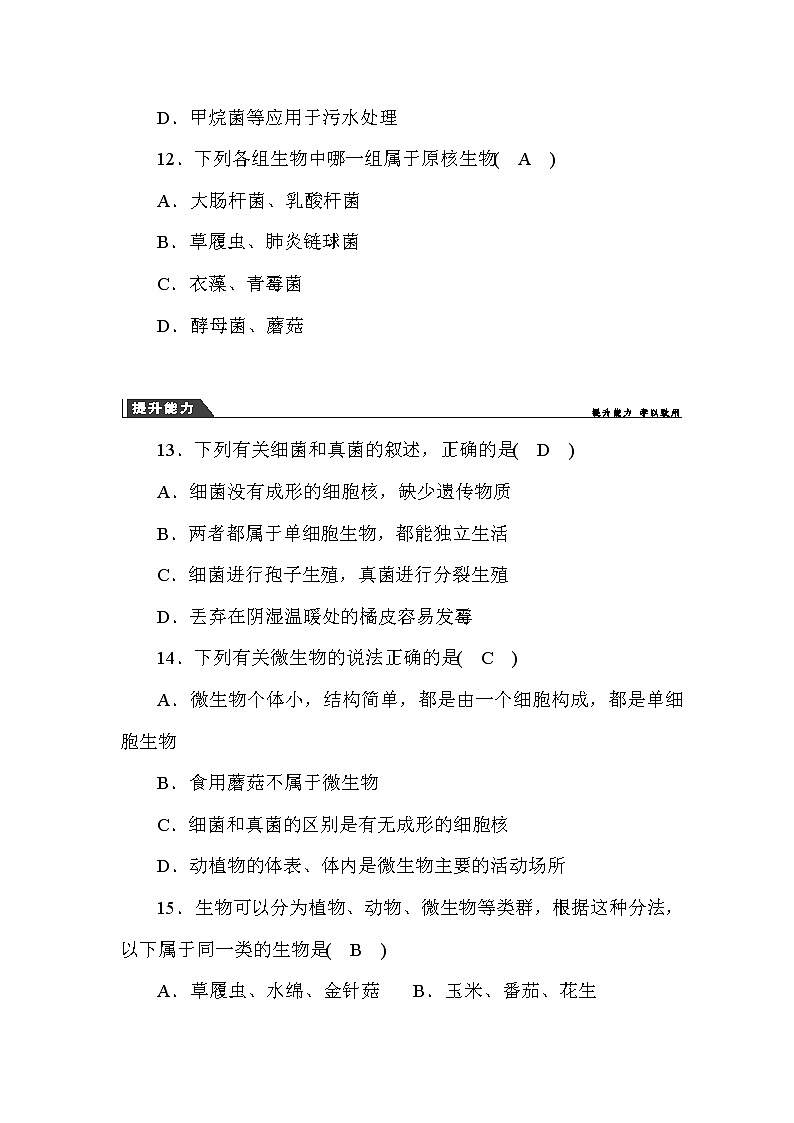 (华东师大版）2020年七年级上科学 3 细菌和真菌（含答案） 试卷03