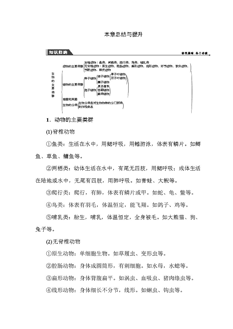 (华东师大版）2020年七年级上科学 生物的主要类群 本章总结与提升（含答案） 试卷01