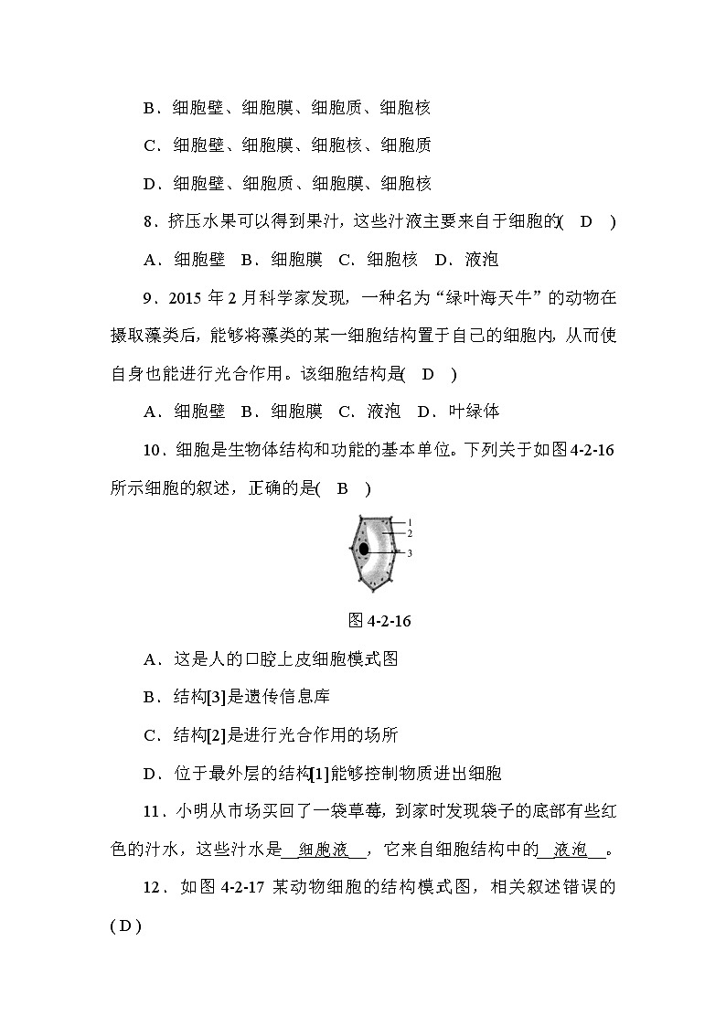 (华东师大版）2020年七年级上科学 2 细胞 第2课时（含答案）第2页