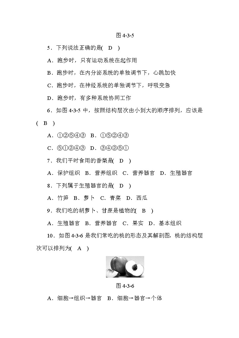 (华东师大版）2020年七年级上科学 3 组织、器官和系统 第2课时（含答案）　 试卷02