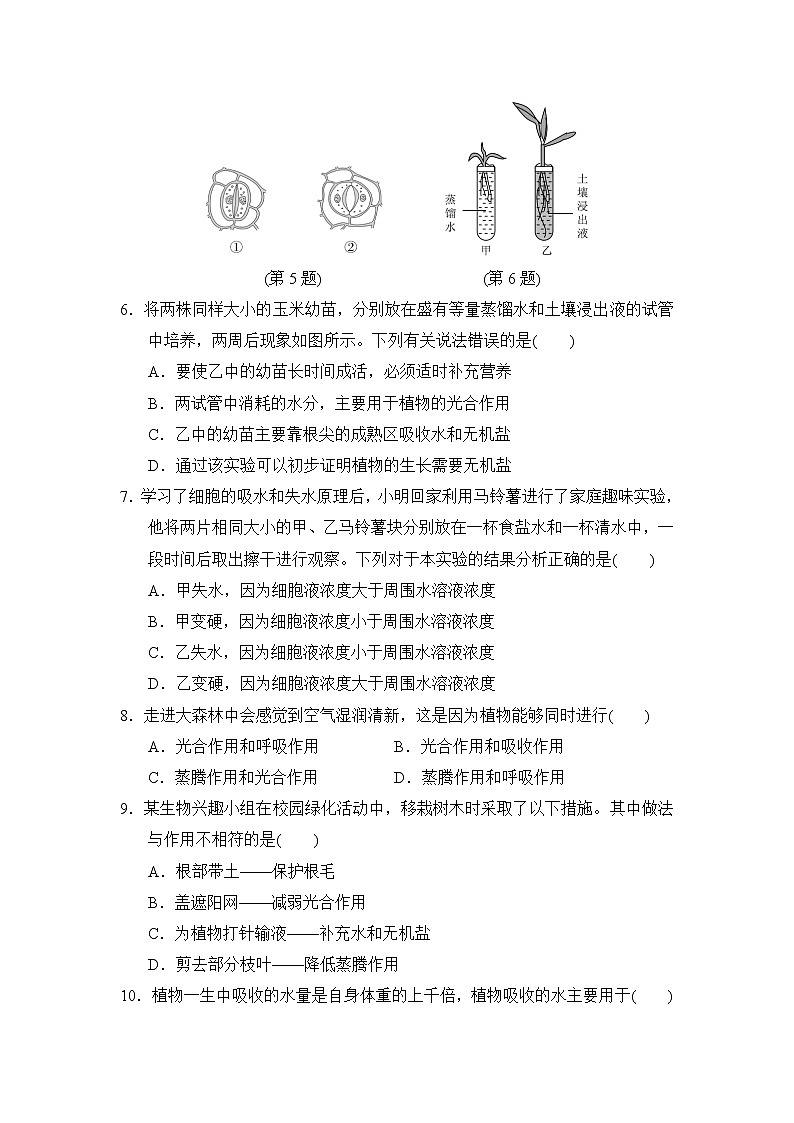 华师版八年级上册科学 第4章 测试卷02