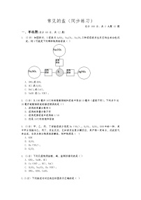 华师大版九年级上册3 常见的盐同步测试题