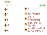 华师版八年级下册科学习题课件 第7章 7.4  人体是一个统一的整体0