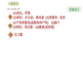 华师版八年级下册科学习题课件 第7章 7.4  人体是一个统一的整体0