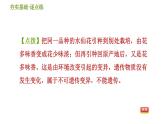 华师版九年级下册科学课件 第5章 5.2 生物的变异