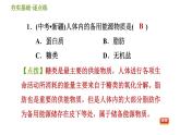 华师版九年级下册科学课件 第4章 4.4 营养与健康