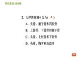 华师版九年级下册科学课件 第4章 4.2 运动与健康