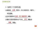 华师版九年级下册科学课件 第4章 4.3.2 免疫的功能和计划免疫