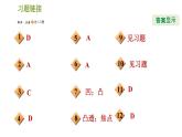 華師版八年級下冊科學習題課件 第2章 2.3.1  透鏡0