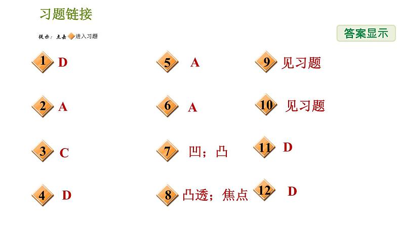 华师版八年级下册科学习题课件 第2章 2.3.1  透镜002