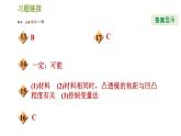 華師版八年級下冊科學習題課件 第2章 2.3.1  透鏡0