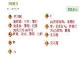 華師版八年級下冊科學(xué)習(xí)題課件 第7章 7.1  動物的行為0