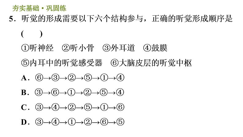 华师版八年级下册科学习题课件 第3章 3.2  耳与听觉008