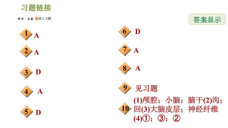 华师版八年级下册科学习题课件 第7章 7.2.1  神经系统002