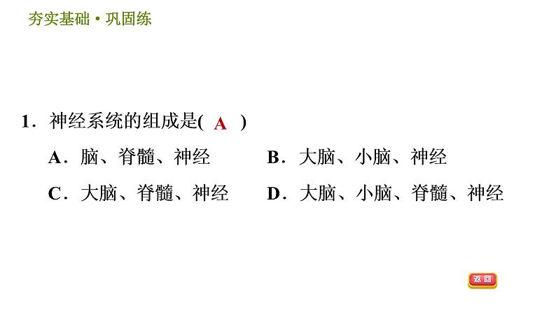 华师版八年级下册科学习题课件 第7章 7.2.1  神经系统004