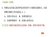 华师版八年级下册科学习题课件 第7章 7.2.1  神经系统0