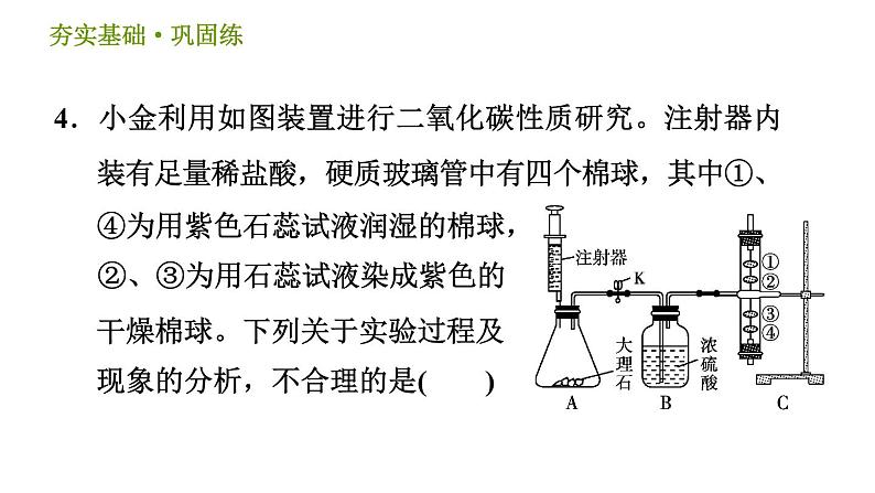 浙教版八年级下册科学习题课件 第3章 3.4.3 实验：二氧化碳的制取和性质研究第6页