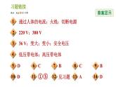 浙教版八年級(jí)下冊(cè)科學(xué)習(xí)題課件 第1章 1.7 電的安全使用