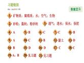 浙教版八年级下册科学习题课件 第4章 4.2 各种各样的土壤