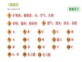 浙教版八年级下册科学习题课件 第4章 4.2 各种各样的土壤