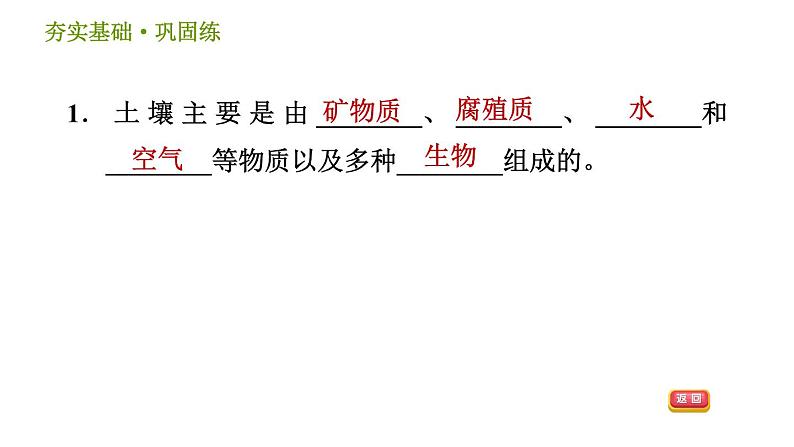 浙教版八年级下册科学习题课件 第4章 4.2 各种各样的土壤第3页